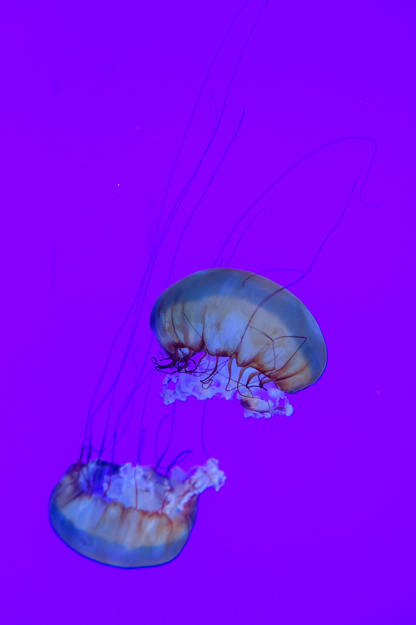 DSCF4987 a89af0df