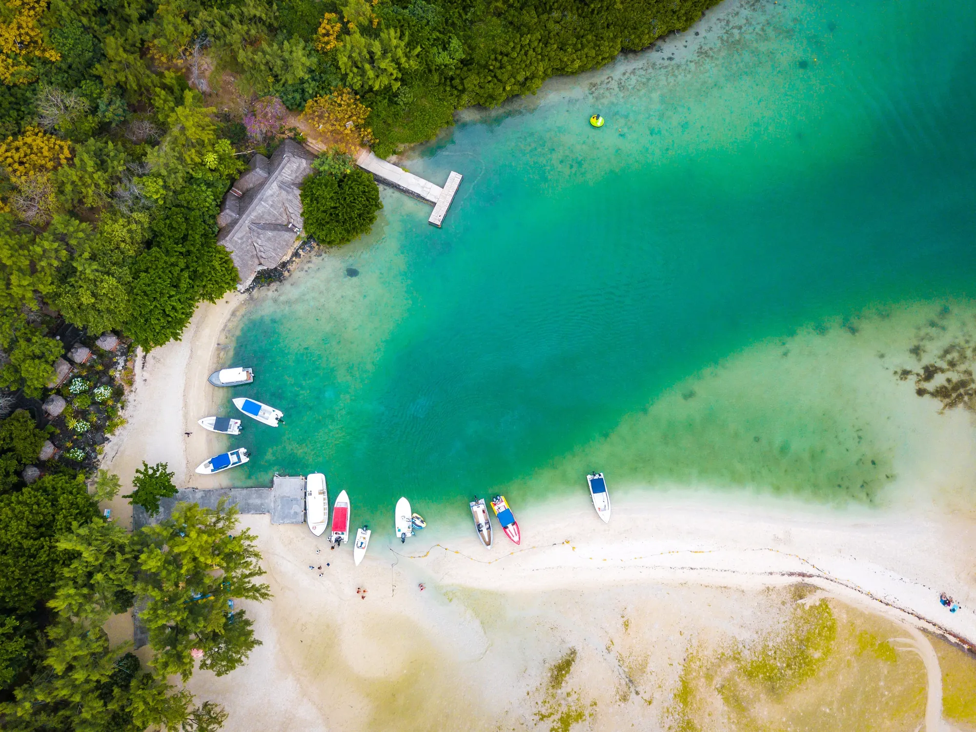 DJI 0304 cea8d8d3
