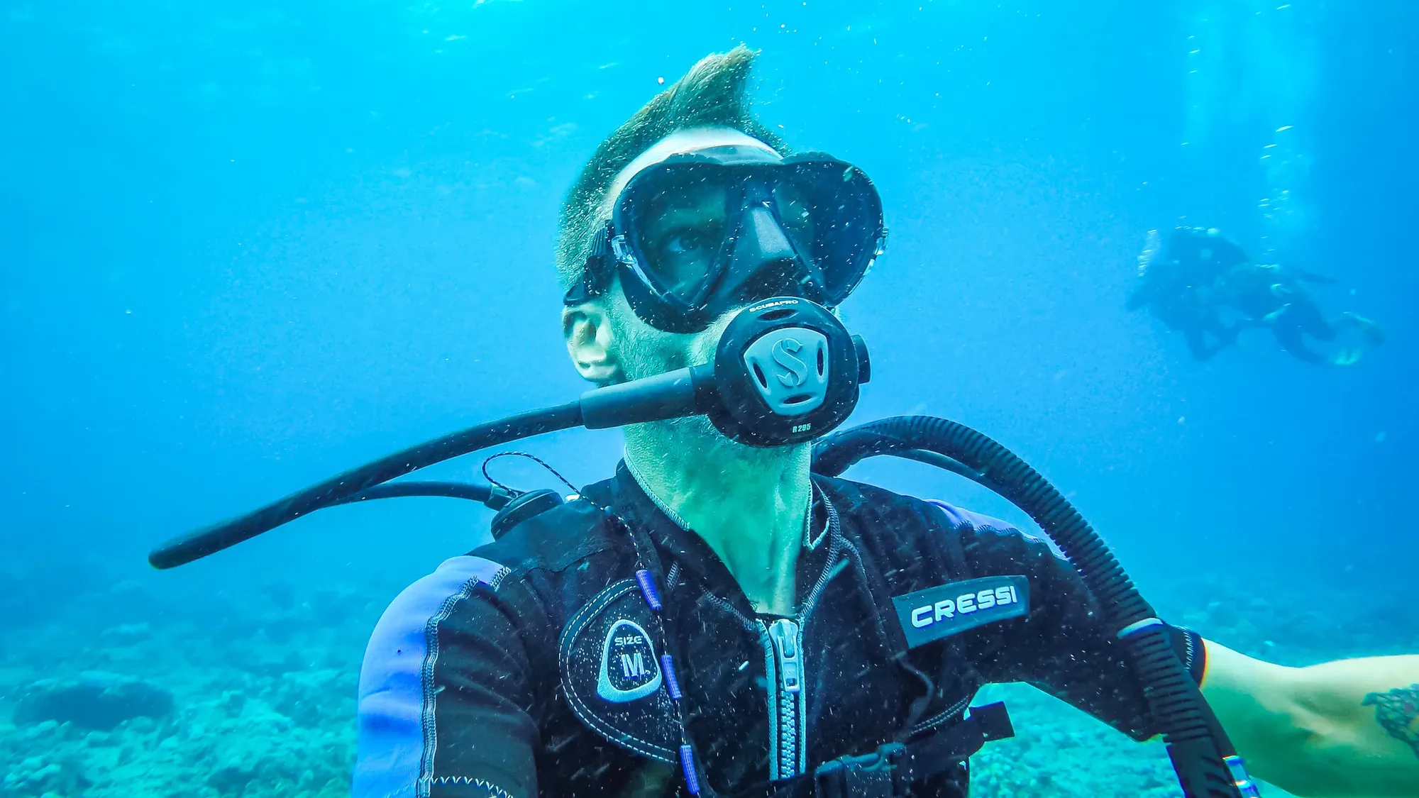 Dive+1 1c465904