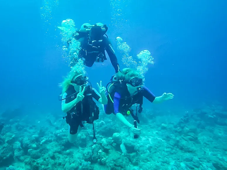 Dive+5 12674a14