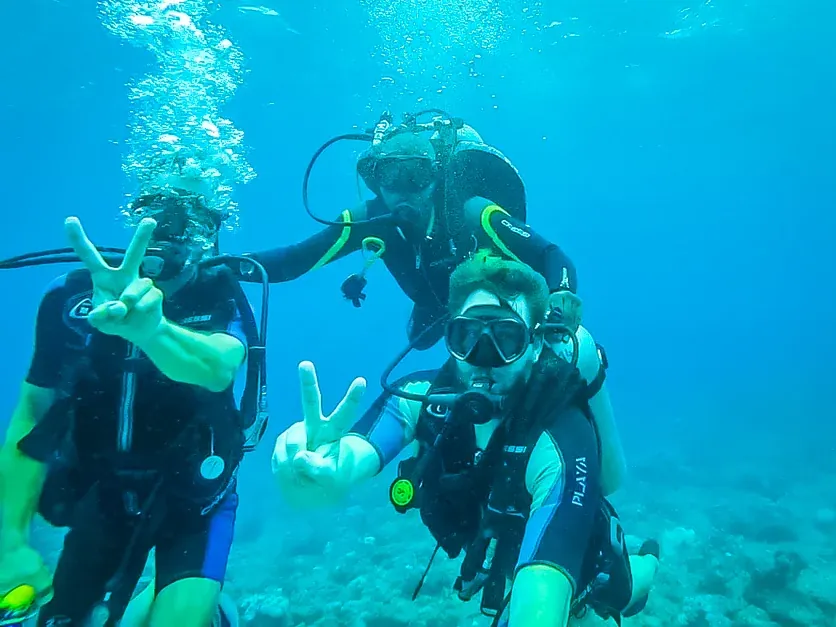 Dive+8 d4a94ff2