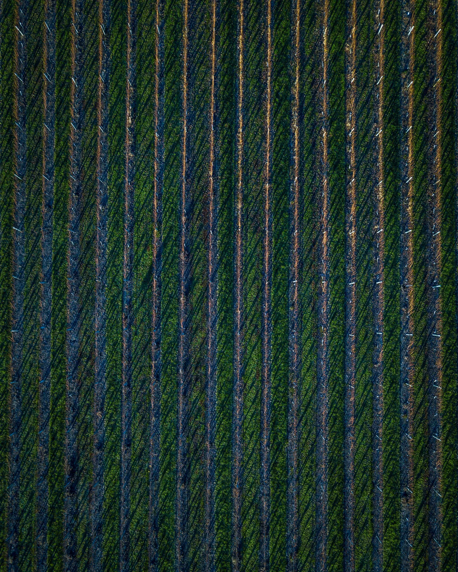 DJI 0167 2 fc8126bf