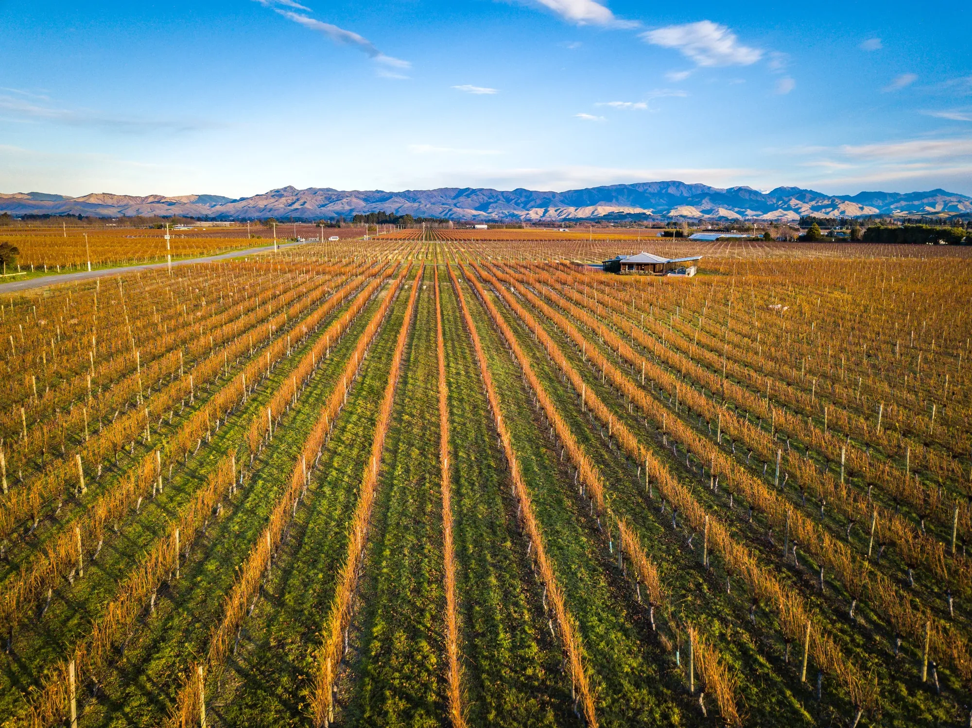 DJI 0239 9d82c0b4