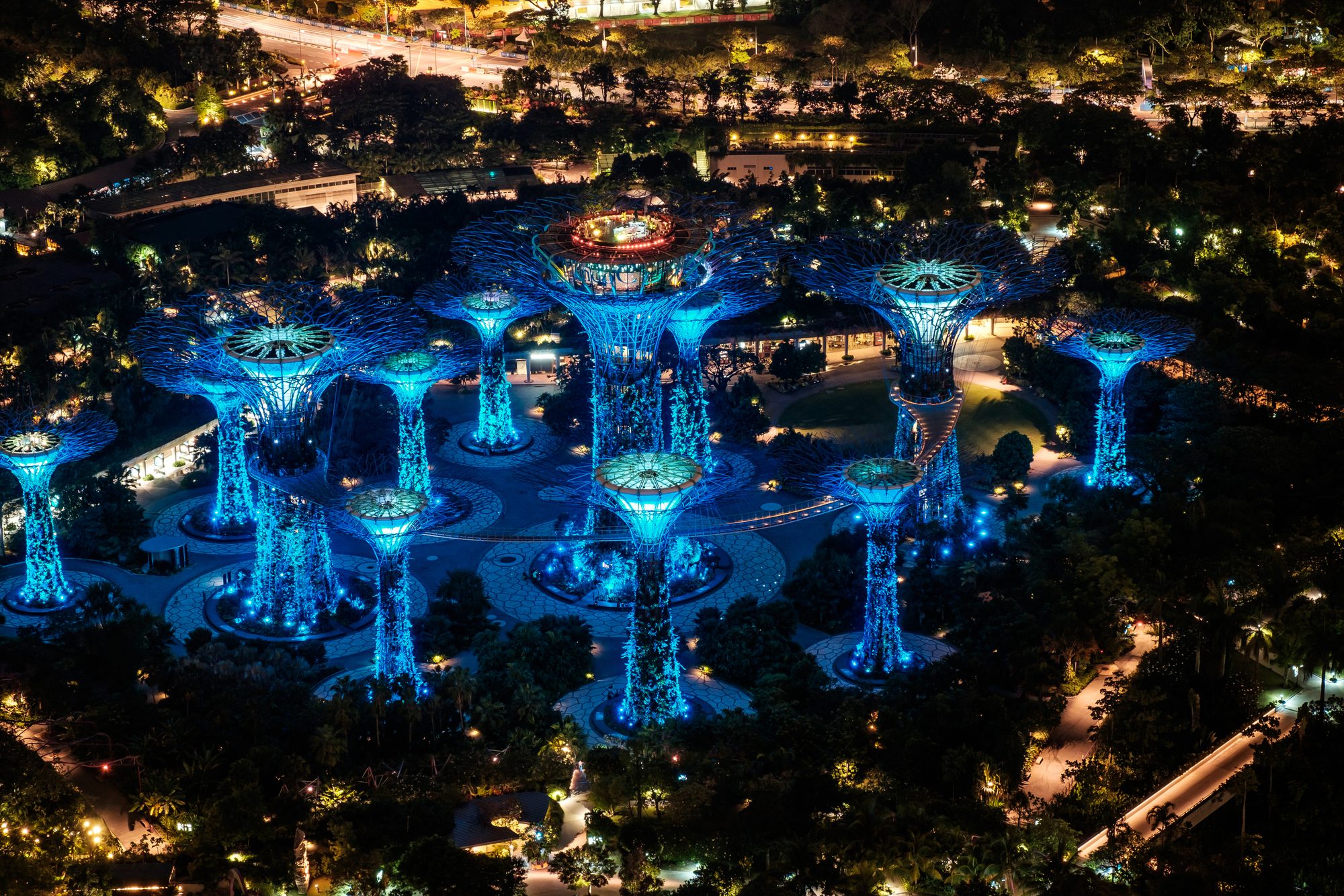  Spectacular Supertree Grove in Gardens by the Bay 