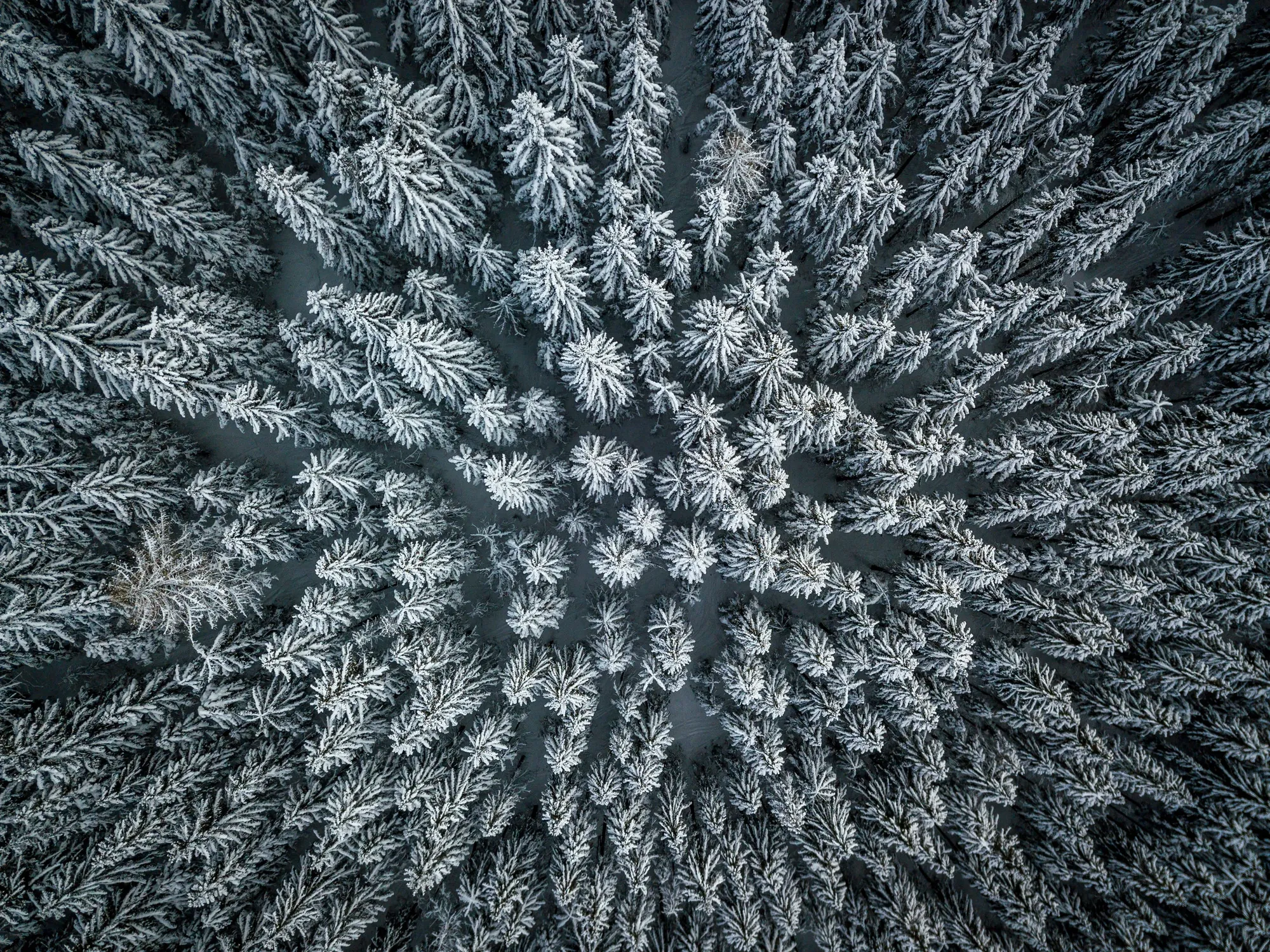 DJI 0133 78c1e5e9