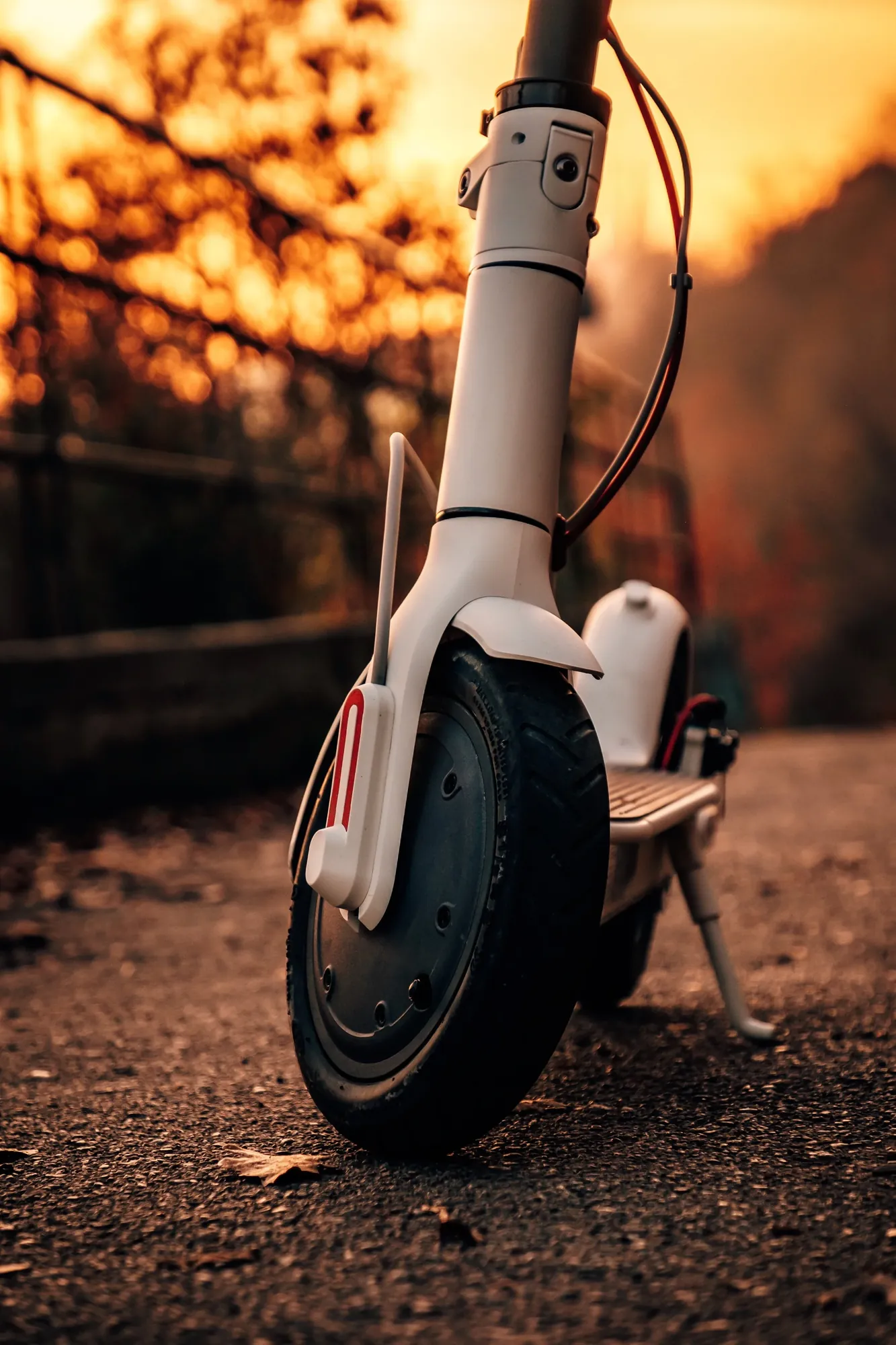 image asset 345b415a